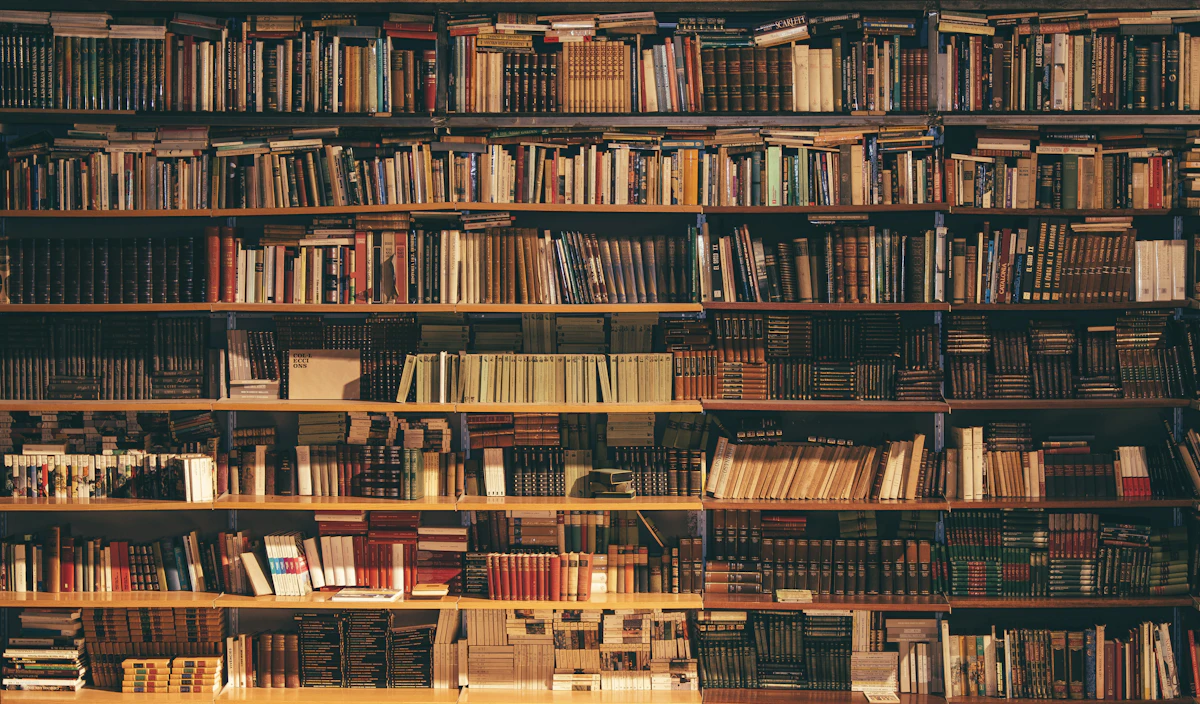 A warm and inviting bookshop interior with shelves of books in Dublin